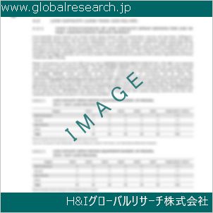 グローバルリサーチ調査資料のイメージ
